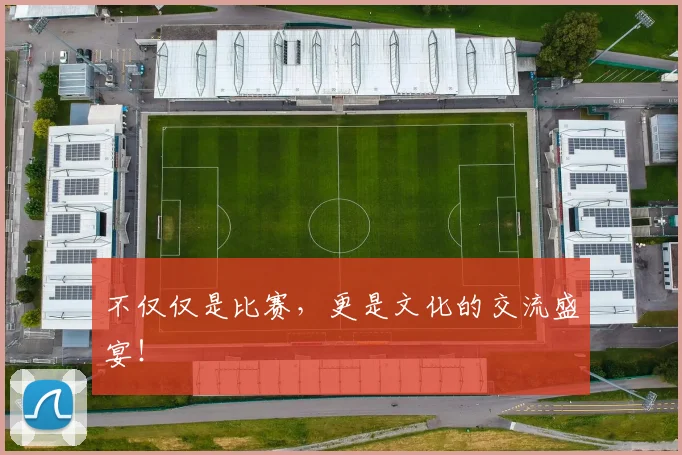 不仅仅是比赛,更是文化的交流盛宴!