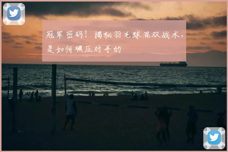 冠军密码!揭秘羽毛球混双战术,是如何碾压对手的