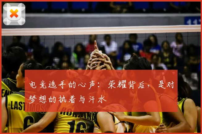 电竞选手的心声：荣耀背后，是对梦想的执着与汗水